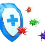 Hausmittel gegen Erkältung: Was wirklich hilft und was nicht